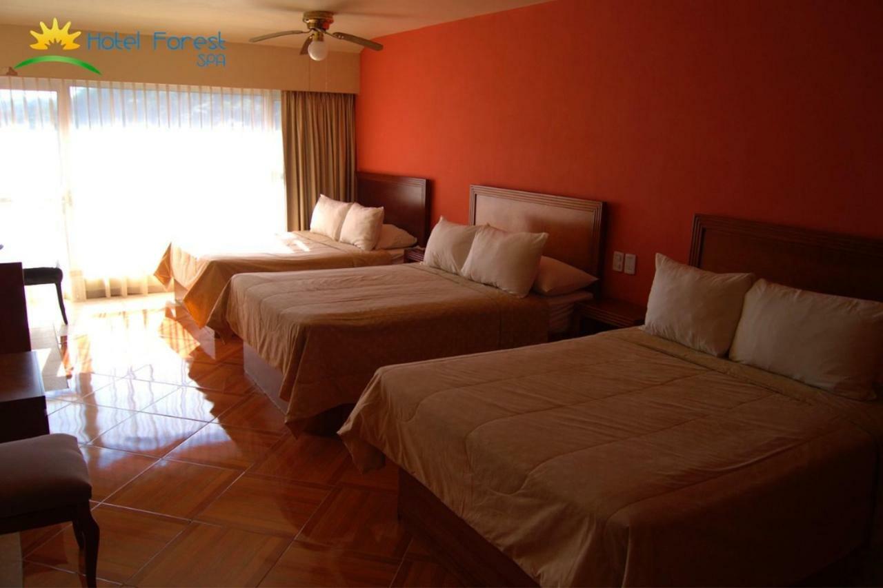 Hotel Forest Huauchinango Ngoại thất bức ảnh
